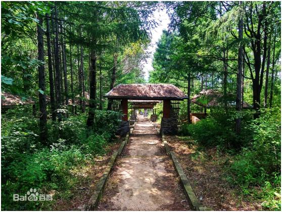 长春九台区全景图,长春市九台区照片