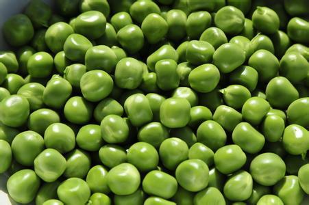 为什么荷兰豆在荷兰叫中国豆,荷兰豆为什么叫中国豆