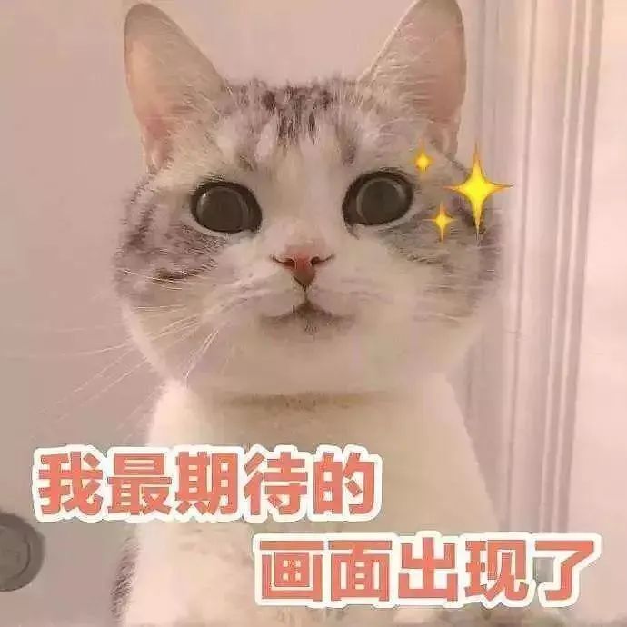 捡到猫咪的胡子,收集猫咪胡须会有好运嘛
