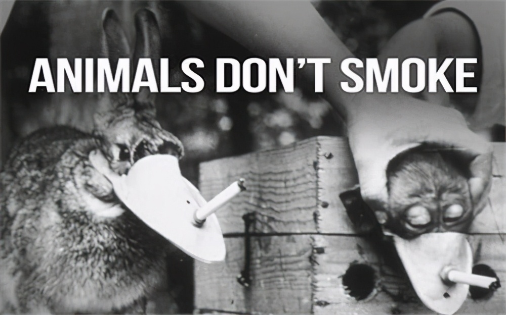 英国*草烟**商想证明香烟无害，每天给狗抽100支，3年后结果如何