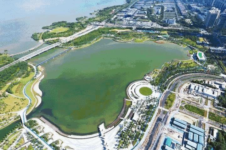 深圳荔枝公园跑步一圈有多长,目前深圳有哪些地方适合跑步