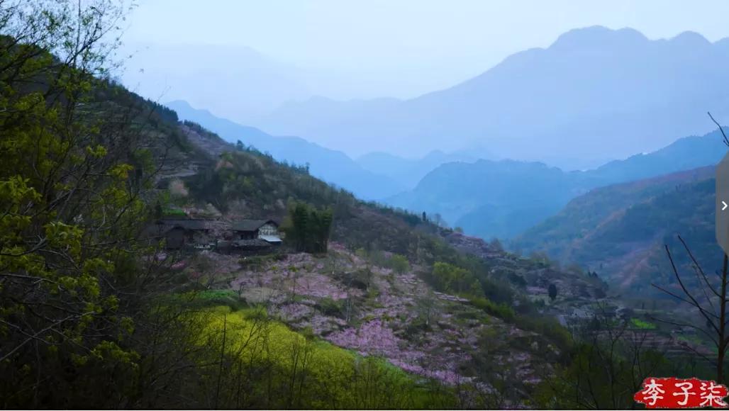 菜吧：又火了！李子柒“鲜花宴”再次火爆全网！数千万网友看酸了