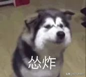 小时候唱的顺口溜叫什么词,你小时候唱过的顺口溜有多暗黑