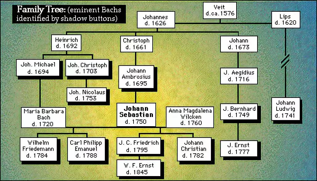 巴赫成长故事,巴赫的故事动画
