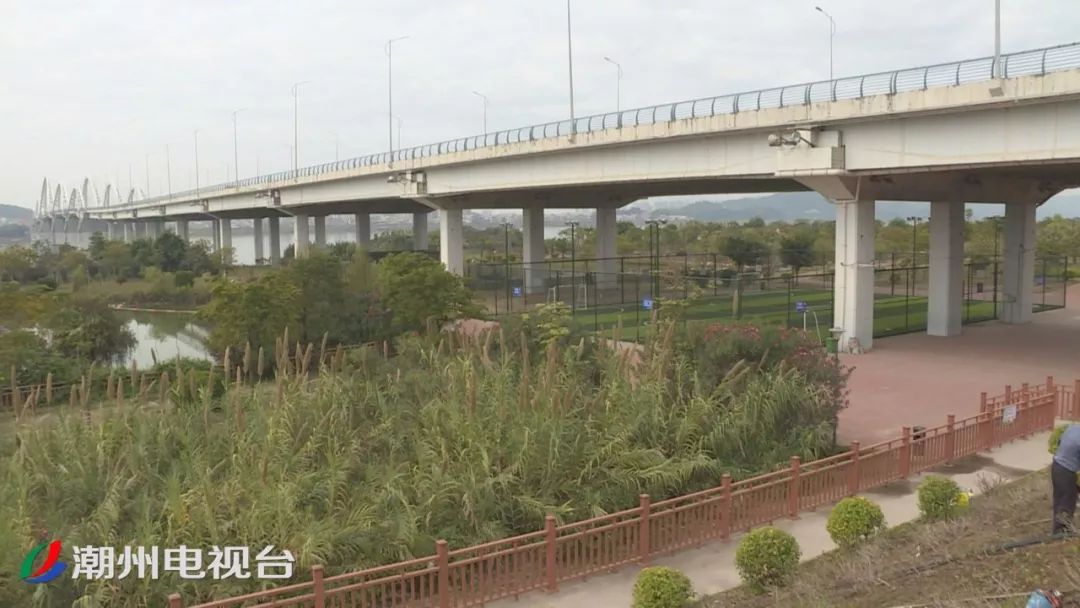 佛山湿地公园免费足球场开放时间,潮州湿地公园春节开放吗