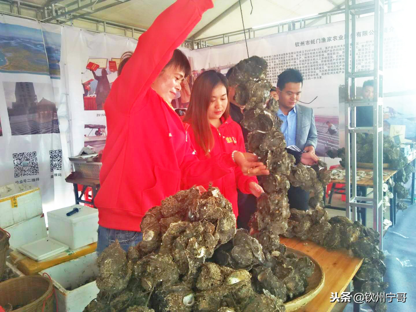 蚝情庆丰收·欢乐在钦州，2018钦州蚝情节本月24日开幕