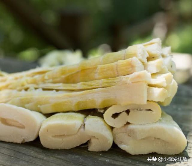 这种竹笋好吃,这种笋像熊猫一样剥着吃