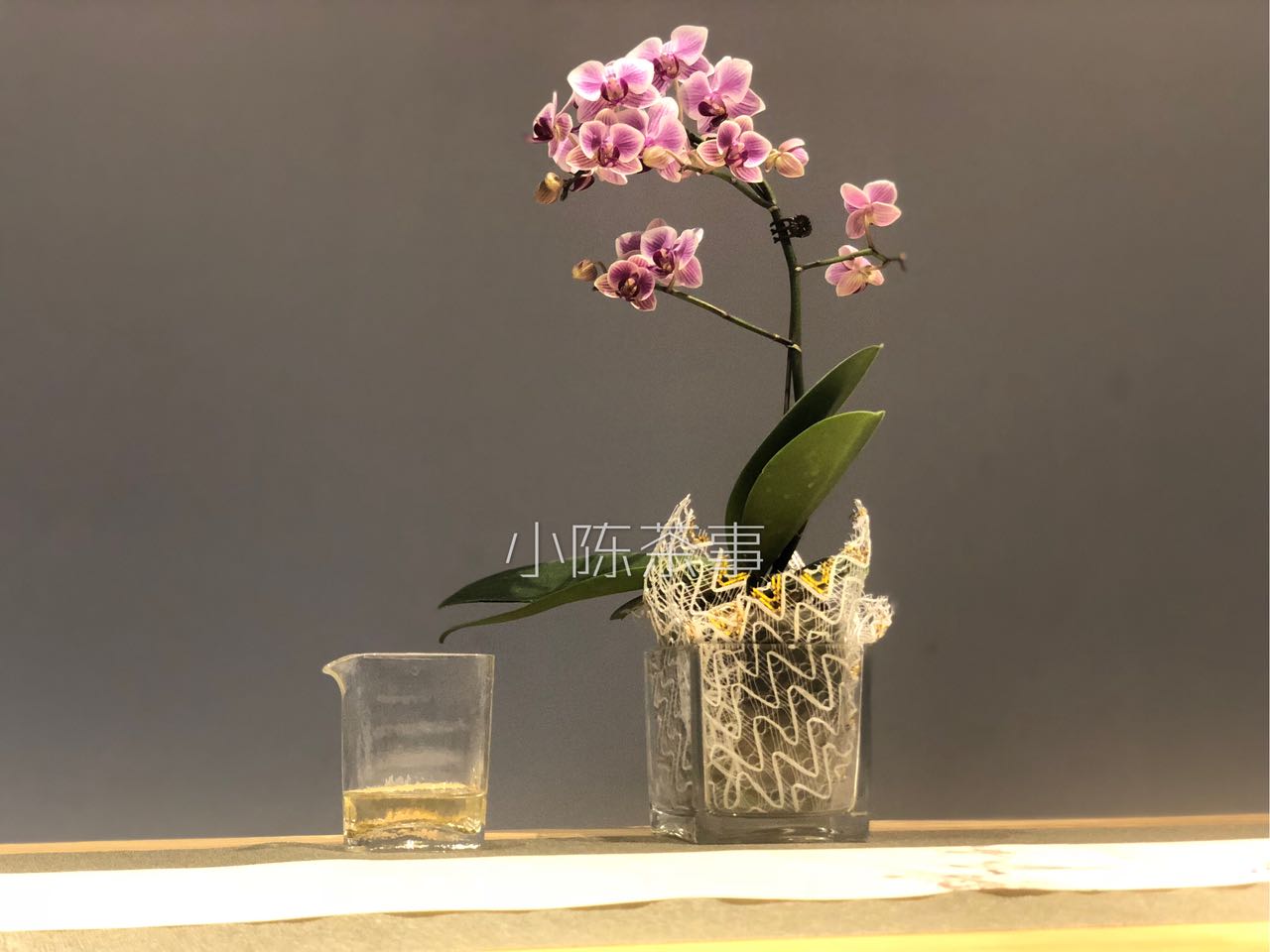 白茶这几年哪个年份品质最好,2023年的白茶品质怎么样