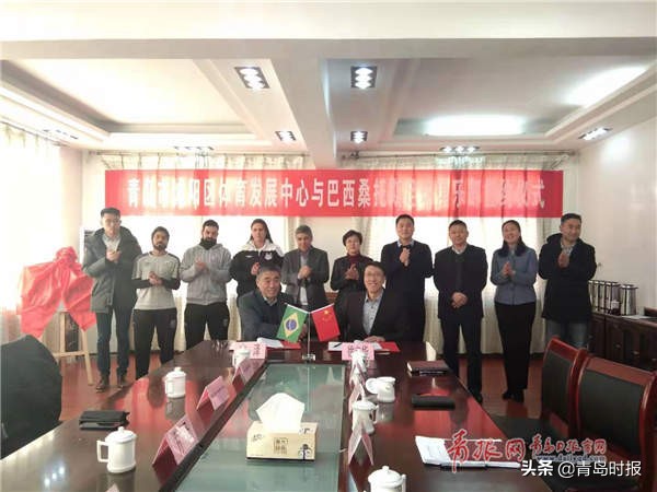 巴西新星桑托斯,巴西足球最新引援