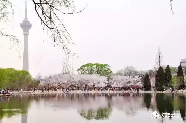 烘焙行业新的增长点,烘焙业新动向