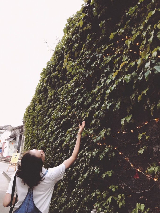 每天3w步的珠海澳门小清明