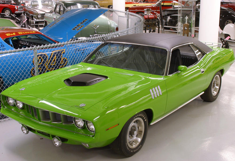 澶х嫍鐧界尗,澶х嫍鐧界尗瀹炶溅