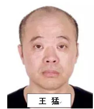 合肥警方征集涉黑线索公告,合肥涉黑涉恶案件