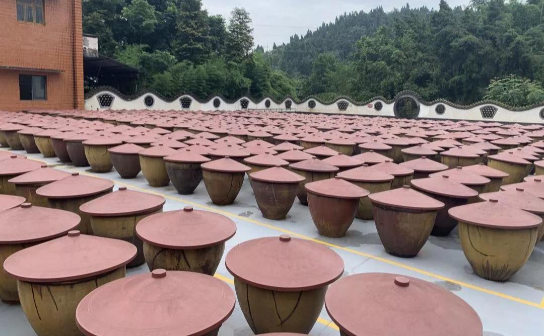 蜀人原乡完整版,三贤故里长寿之乡资阳