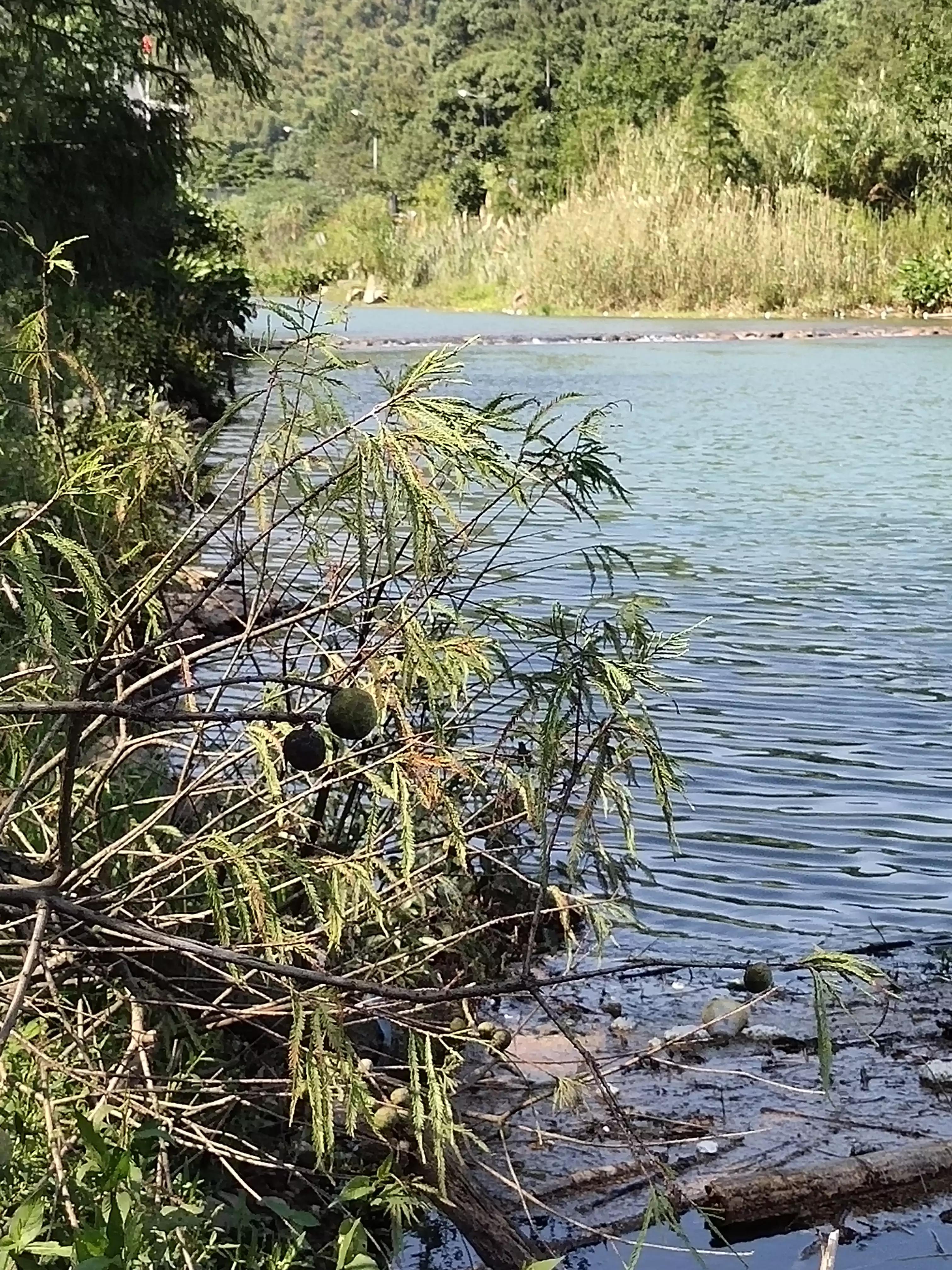 宁波镇海钓鱼野钓最新地点,宁波九龙湖水库钓鱼攻略
