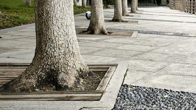 多种路面通过性强，试玩有酷炫灯效的乐行天下E3平衡车