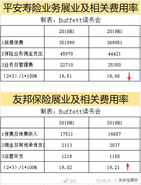 中国平安价值分析,中国平安核心寿险