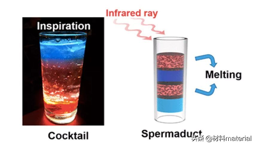 what创新科技,南昌大学研发男性避孕新技术
