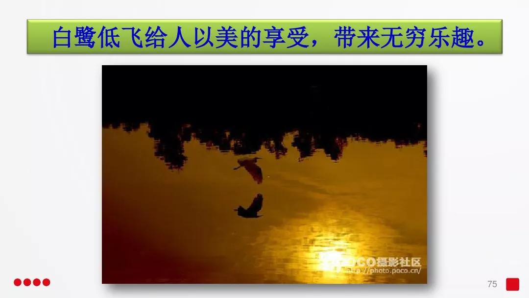 五年级部编版语文白鹭讲课视频,部编小学语文五年级上册白鹭课件