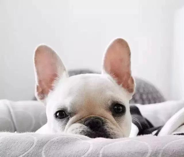 髋关节出了问题一个动作自测,这些症状你千万别再忽略了