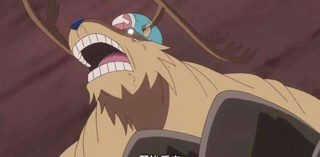 海贼王战斗力表,海贼王战斗力数据