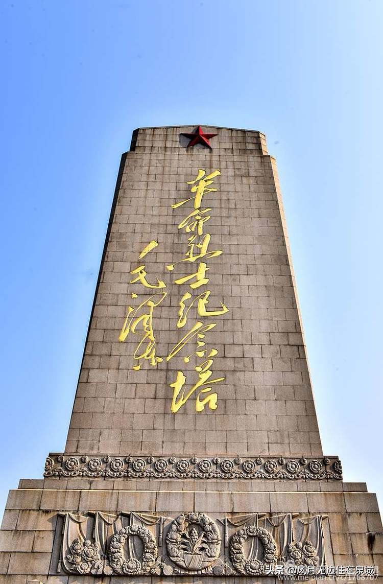 济南秋天的法国梧桐,济南一颗梧桐树