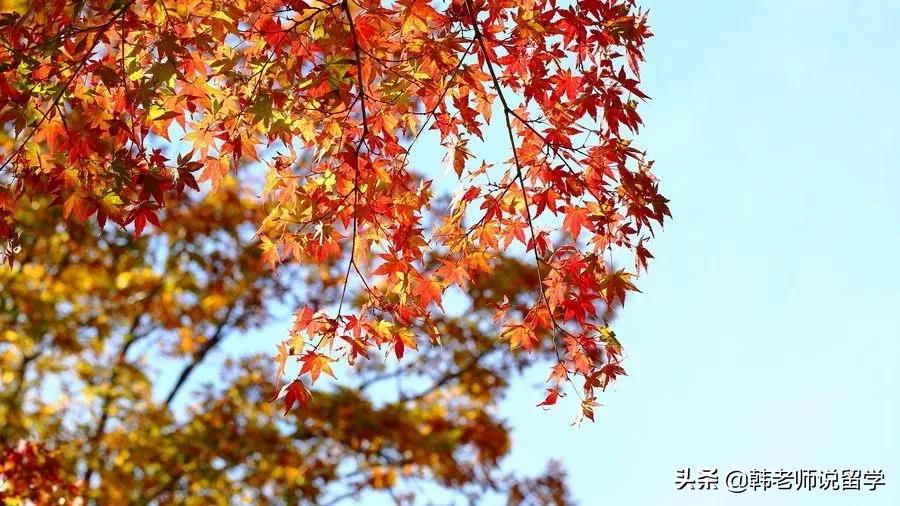 日本留学工作的禁忌,日本留学生活应注意的小常识
