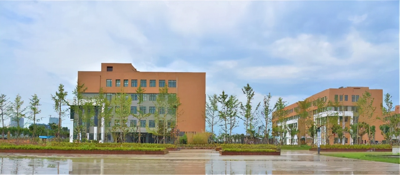 山东有哪些好的公办专科师范学院,山东最好的师范类专科大学排行榜