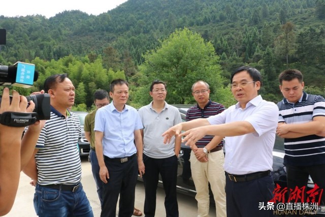 待到山花烂漫时诗文,待到山花烂漫时革命英烈