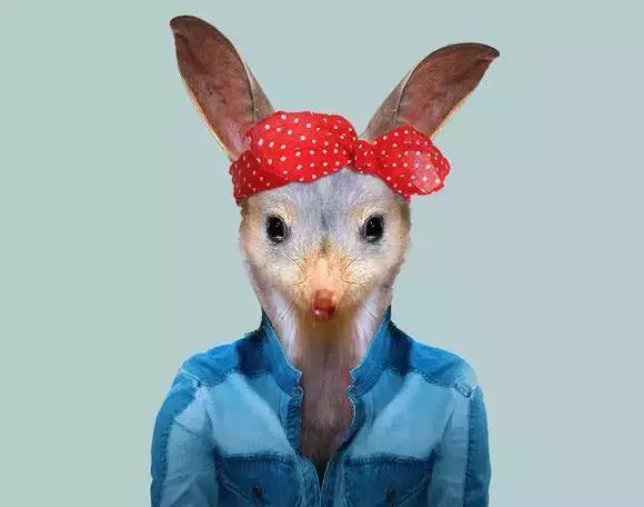 恭喜你！你被通缉啦！企鹅旅行网招人啦！