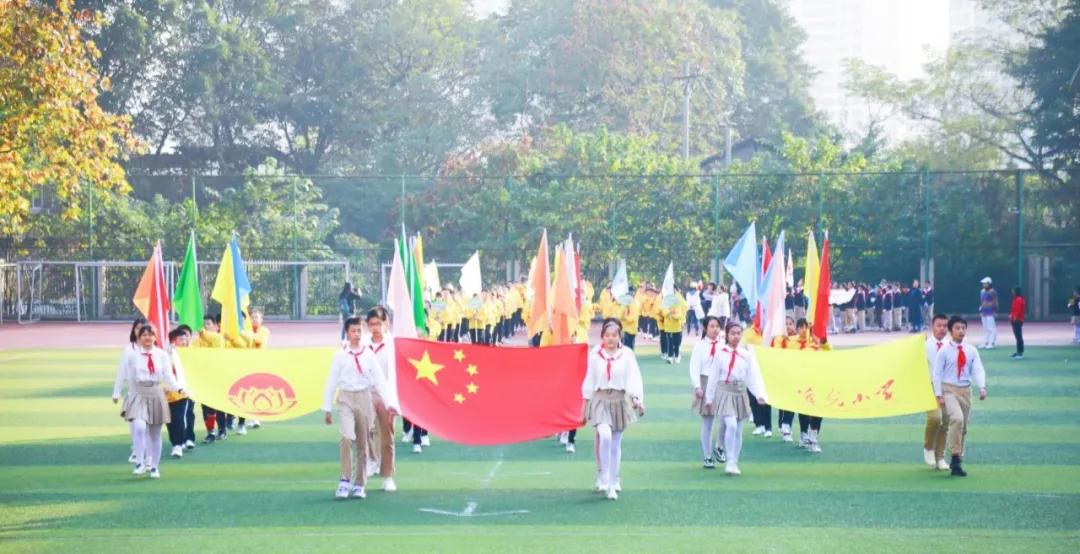 重庆沙坪坝区5朵金花小学,重庆公认最好的五个小学
