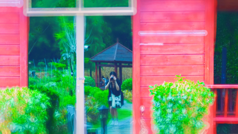 云浮南山森林公园锦鸡,云浮南山森林公园航拍