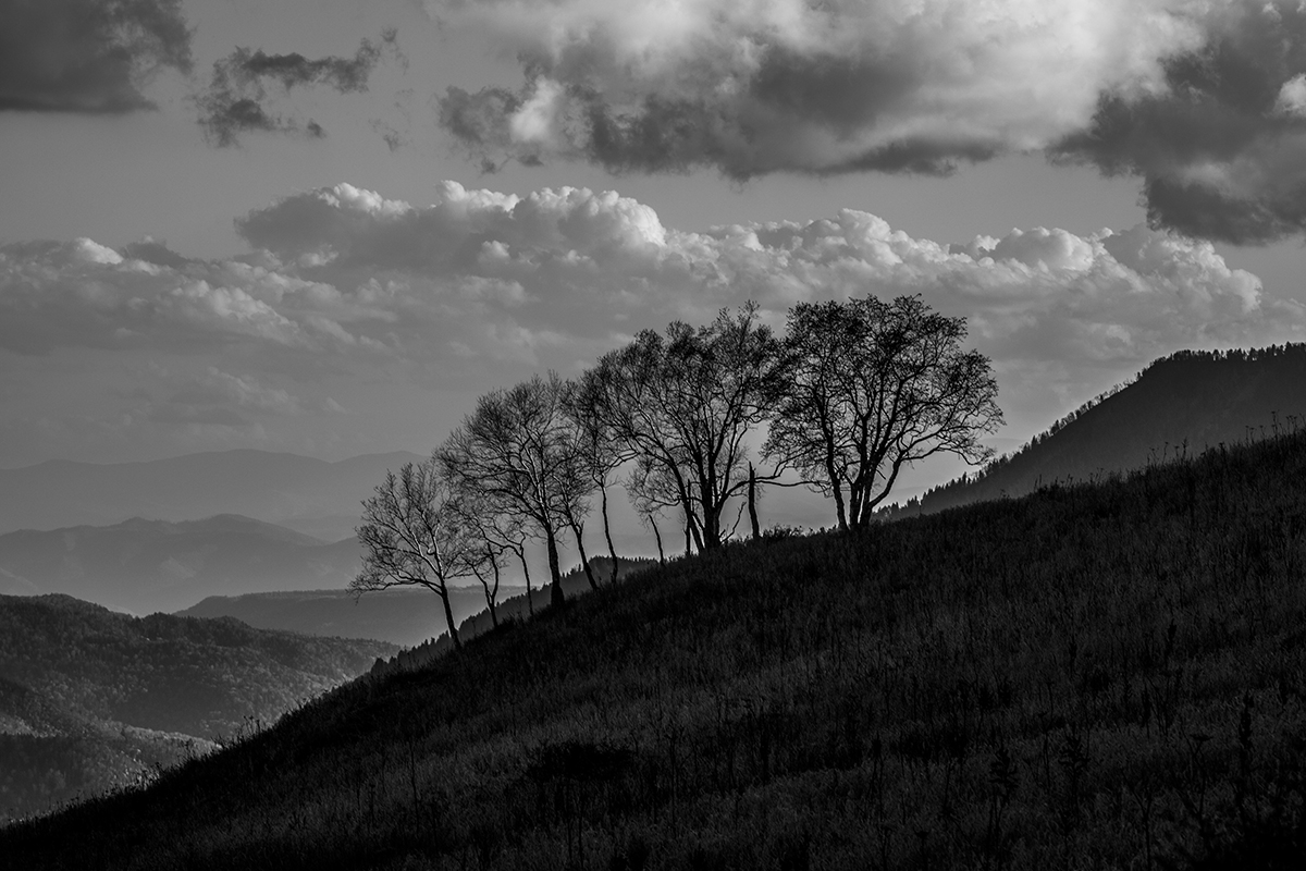 东北地区海拔最高的几座山峰,东北十大最高的山