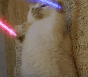 无锡市学区房的未来走势,无锡十大顶级学区房价