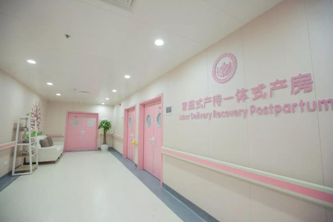 家庭式产房整装,家庭式一体化产房