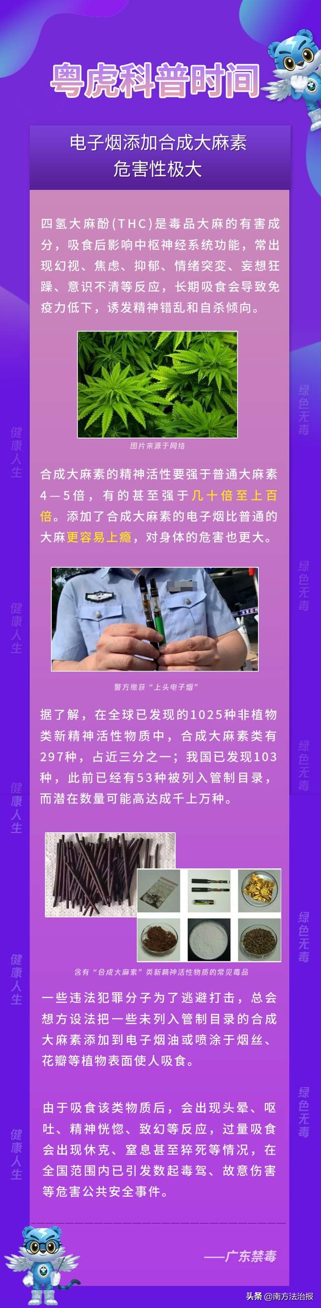 破获特大贩卖毒品案纪录片,广东省最大的合成大麻素毒品案