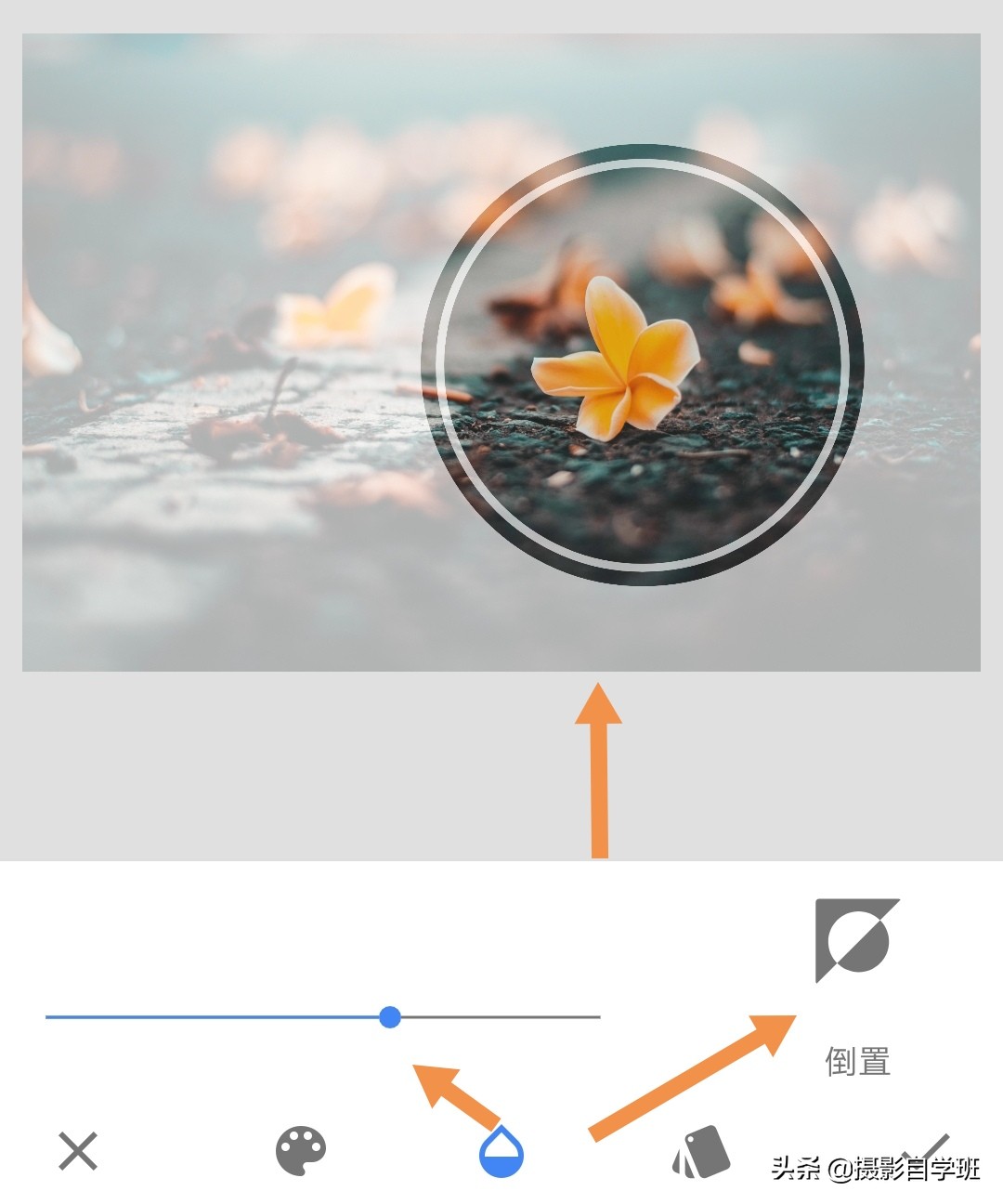 摄影拍出抽象风格照片5个诀窍,照片怎么加虚化