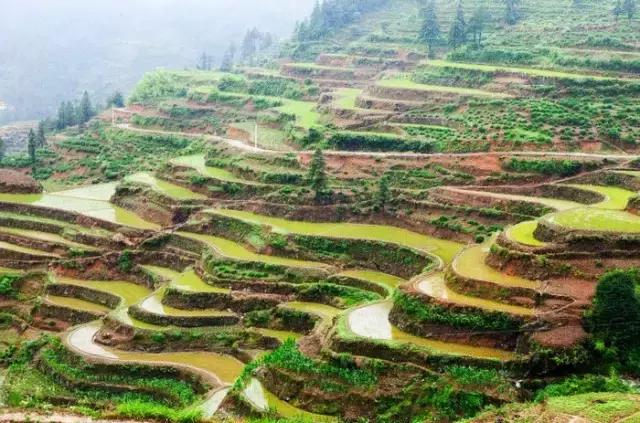 大自然唯美黄山风景摄影,打卡歙县蜈蚣岭高山茶梯田