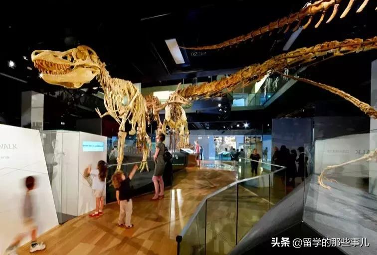 墨尔本亲子游旅游攻略大全,墨尔本亲子游攻略