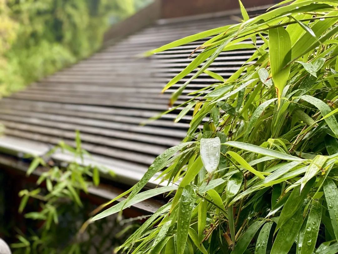 洛阳凤翔温泉门票多少钱,洛阳凤翔温泉区域几点开门