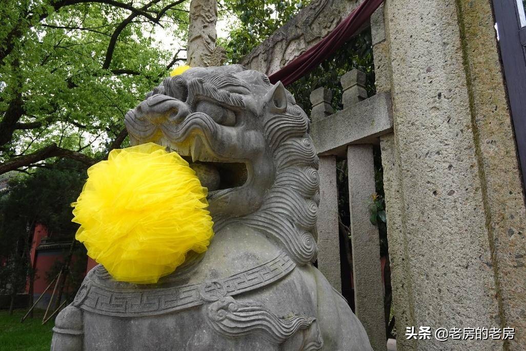 索尼黑卡rx0m2使用说明书,索尼黑卡rx0m2