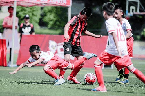 宁夏银川沿黄杯足球,银川足球锦标赛