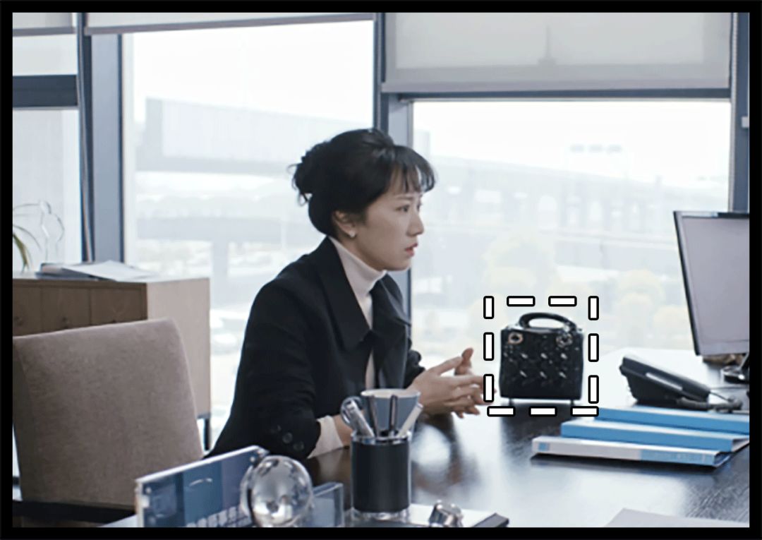 苏家女人买东西,苏家女士包包