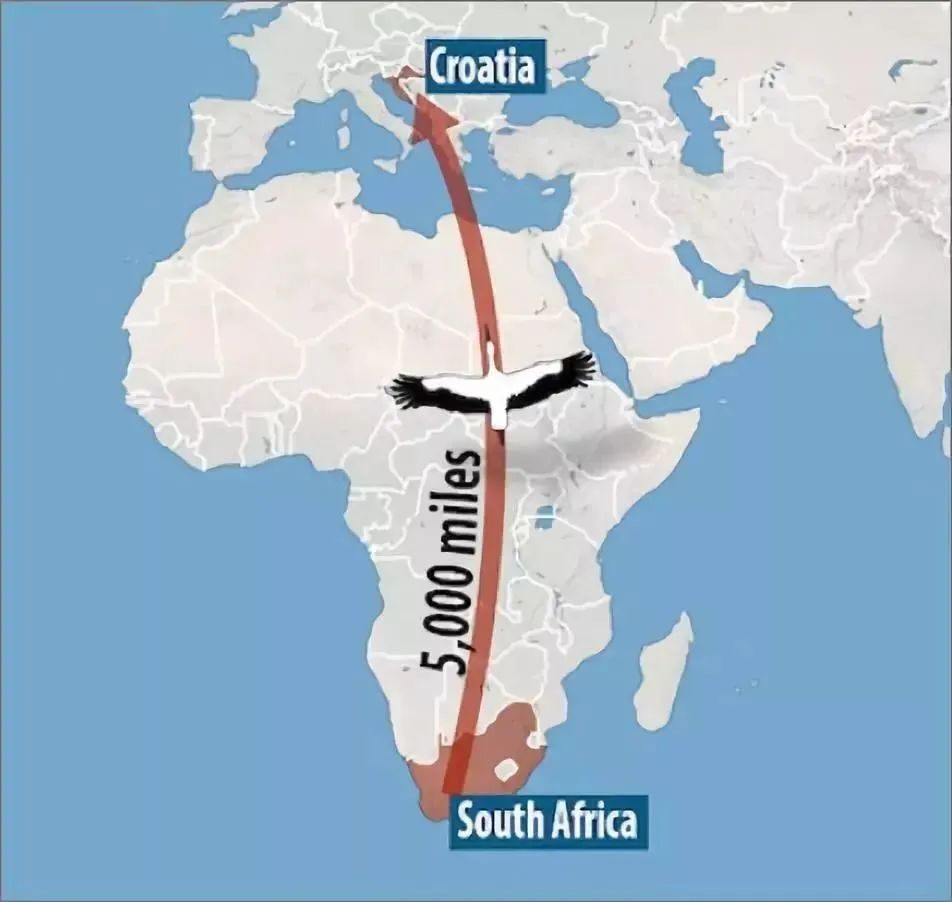 18年感人的爱情故事视频,18年感人的爱情故事