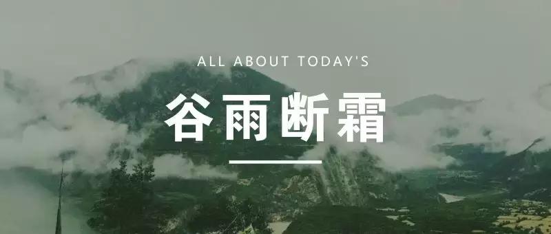 花店推广渠道有哪些,花店怎么运营才能火起来