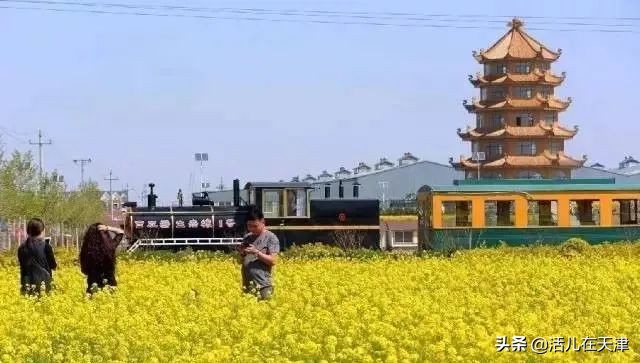 大“疫”灭清，天津2020赏花地图上线！