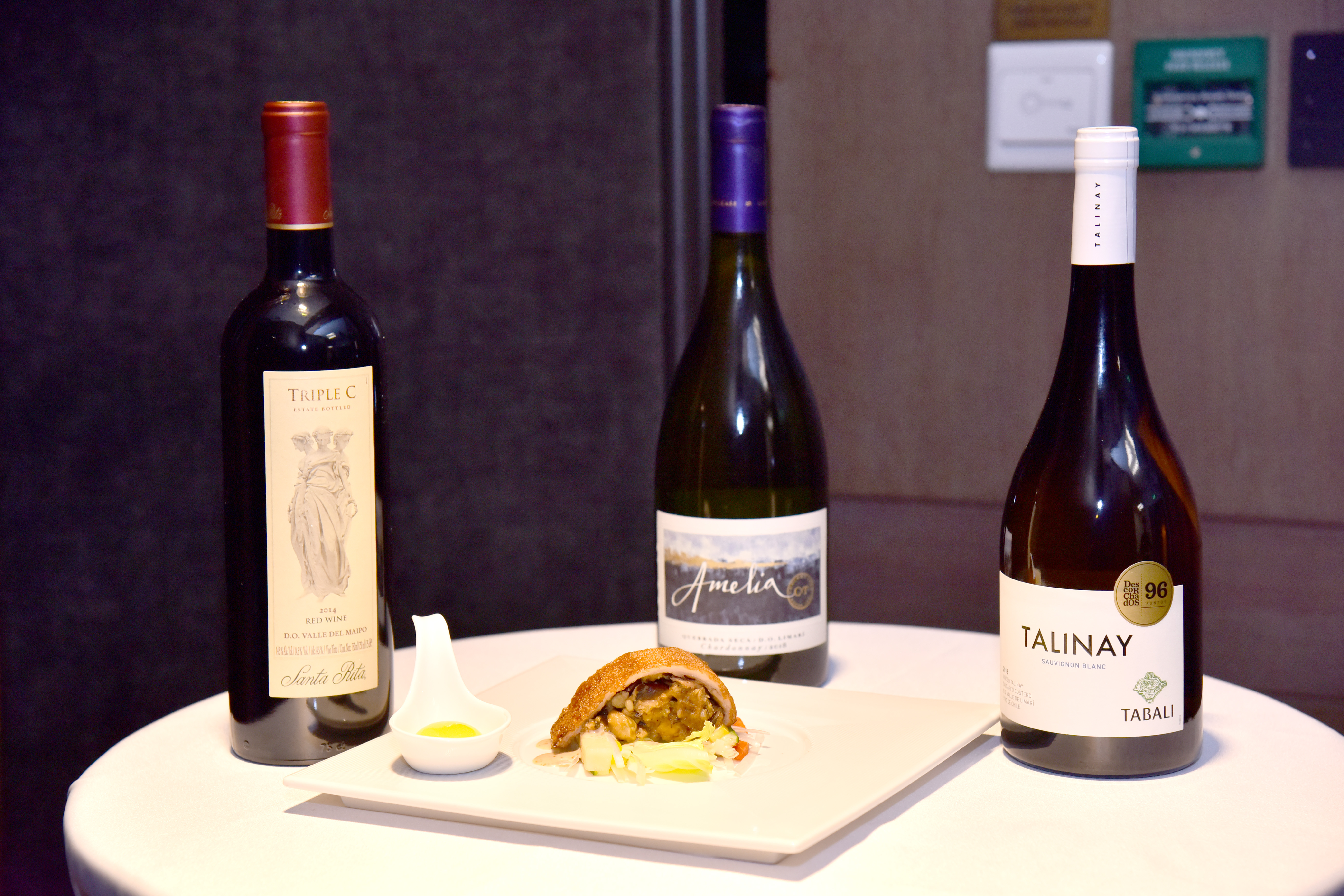 精彩葡萄酒,智利原瓶进口非凡之旅红葡萄酒