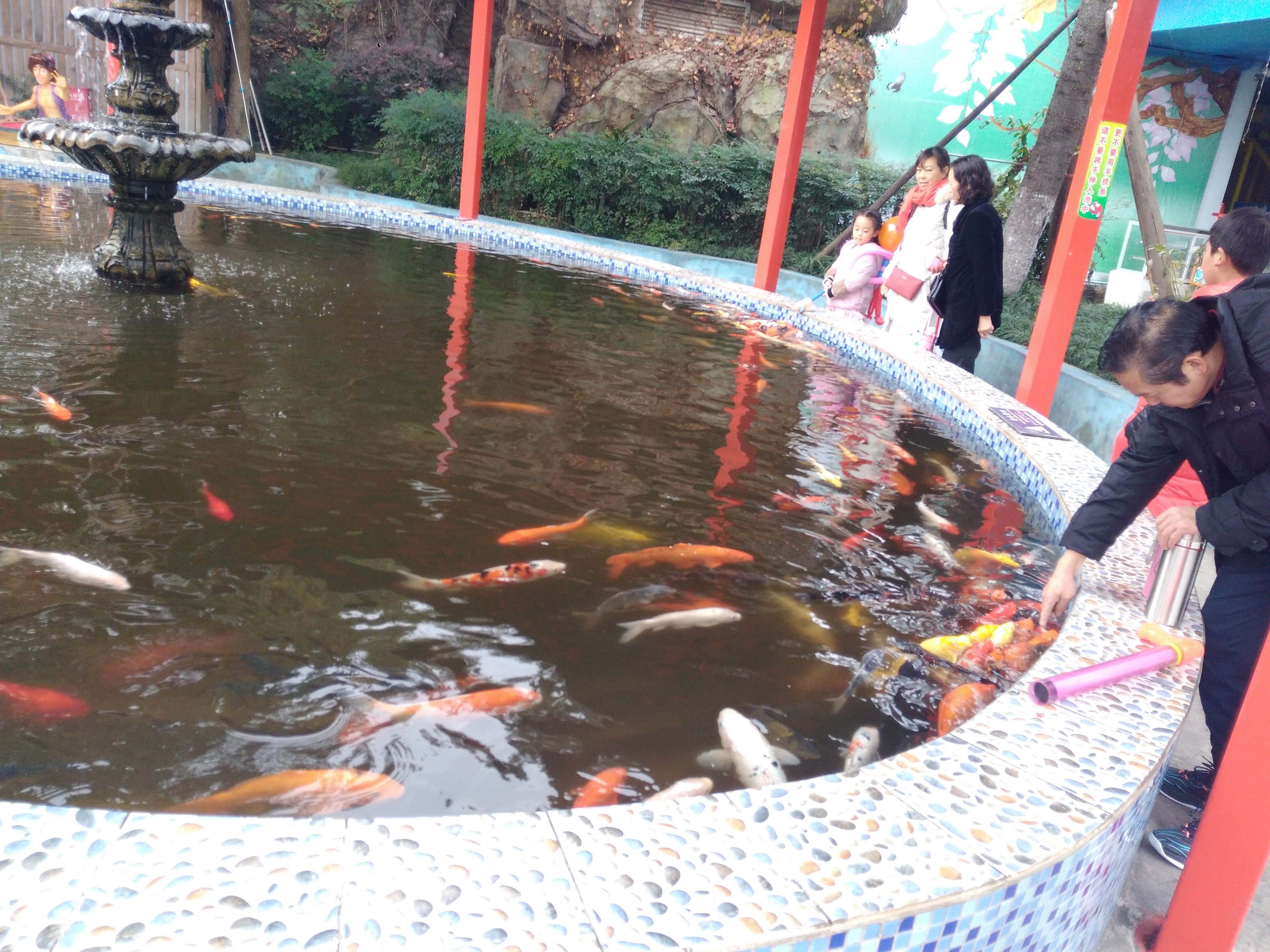 四川省成都市南湖梦幻岛终极游玩攻略（带小孩出游的不二选择）