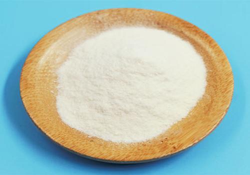 狗狗来例假怎么办？新手护理例假可以采取的措施参考