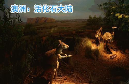 天津哪几个博物馆一定要去,必去天津各大博物馆